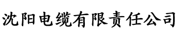 污网站黄视频电缆厂logo